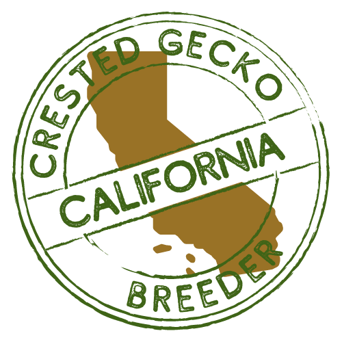 Crested Gecko Breeders in California